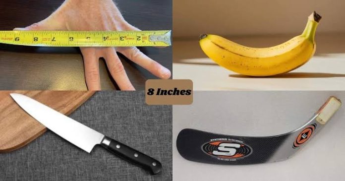 how big is 8 inches